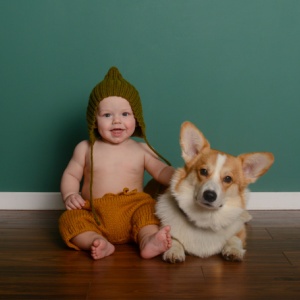 Baby in a green hat and yellow pants sitting beside a corgi against a teal wall, illustrating home safety.